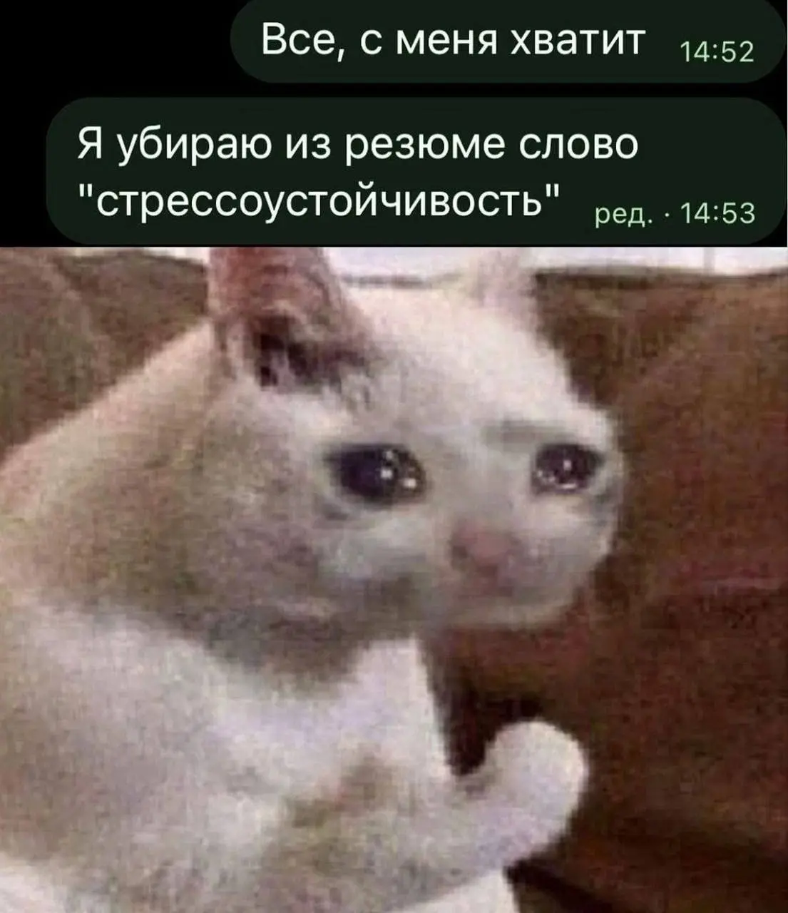 Я устал, я ухожу
Декабрьская рабочая суета с дедлайнами и отчетами начинается задолго до первого снега, в районе сентября | Сетка — социальная сеть от hh.ru