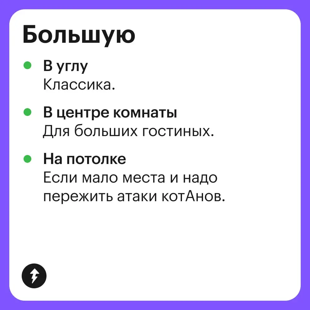 🌲Если вы еще не решили елочный вопрос, то сейчас самое время.
Все курсы Учебника Т—Ж
#уют | Сетка — социальная сеть от hh.ru