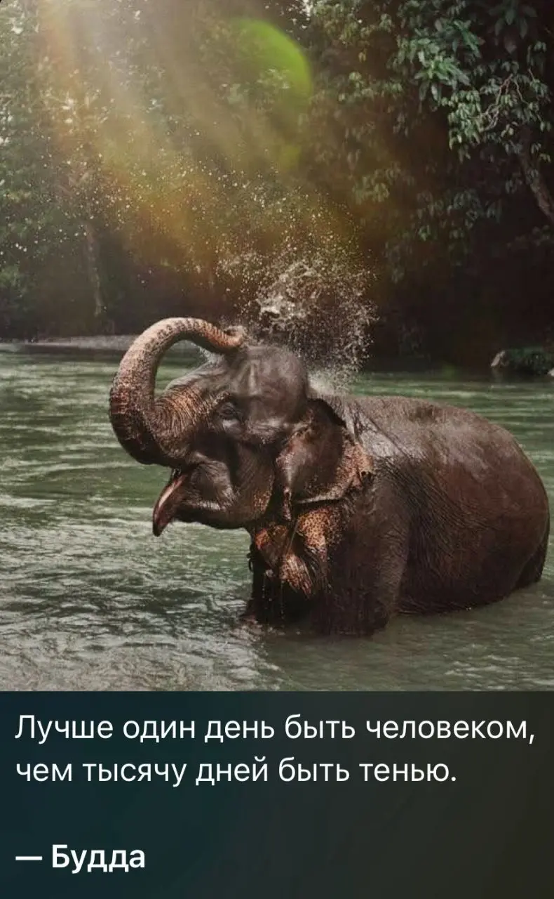 А человеком быть это как?
Человечность это что? 🤔
Фундаментальные смыслы крайне трудно поддаются определениям. То с чего всё начинается не имеет чётких границ | Сетка — социальная сеть от hh.ru
