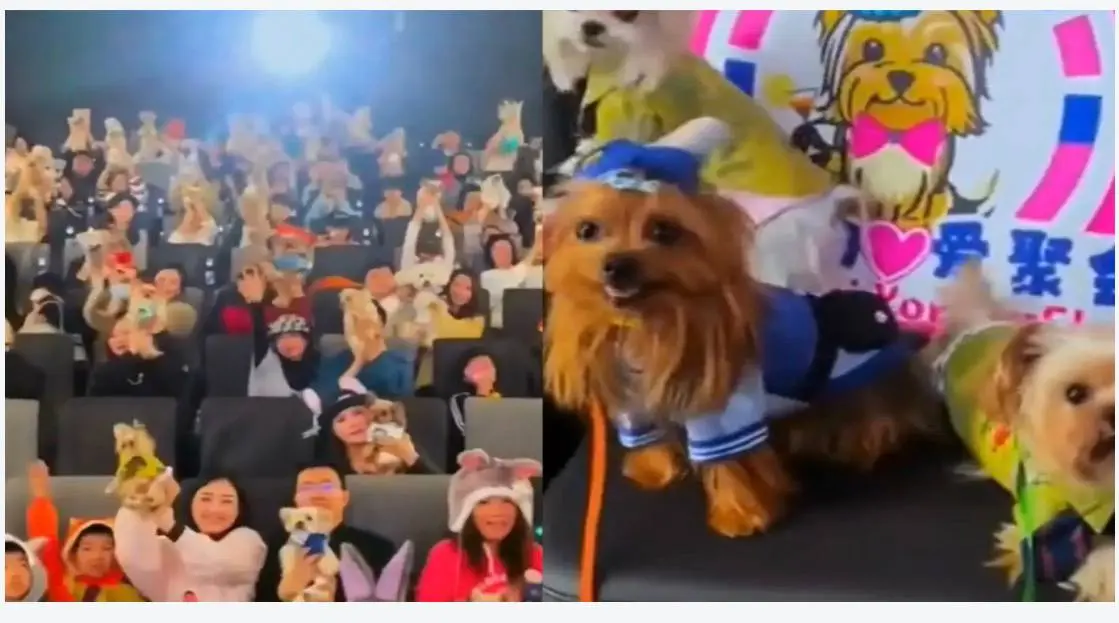 Зверополис 2 с пёсиками в кино: миллиард долларов и парковка для собачьих колясок! 🐶🎥
Вы наверняка в курсе, что мульт «Зверополис 2» уже собрал миллиард долларов за 17 дней со старта | Сетка — социальная сеть от hh.ru