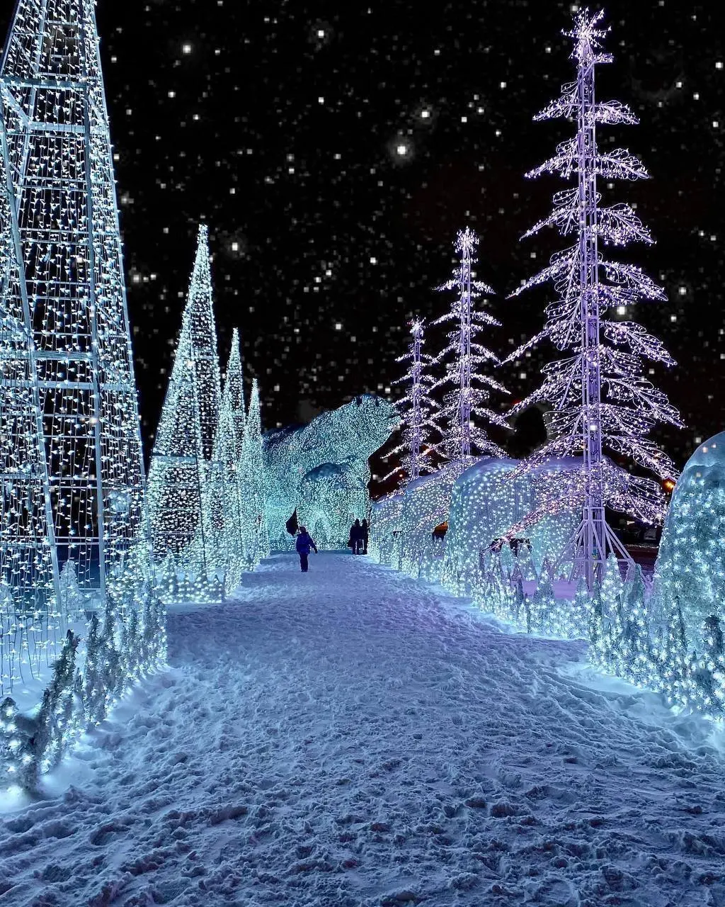 🐻‍❄️Белые медведи в Москве
круглосуточно
Огромные сияющие белые медведи снова поселились в парке у Ростокинского акведука
▫️Вход свободный
📍Парк «Акведук»
📲Подпишитесь на Вдвижении
#бесплатно
В этом п... | Сетка — социальная сеть от hh.ru