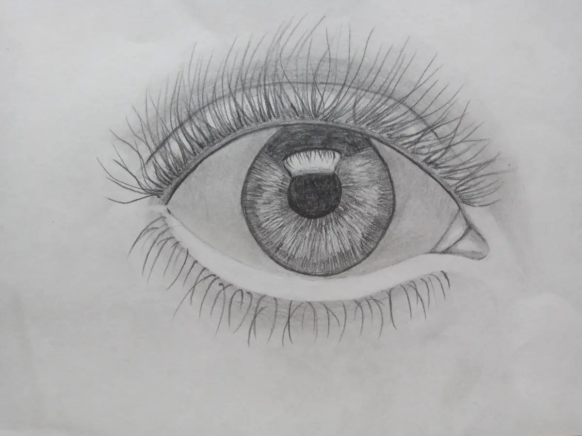 ПОРТФОЛИО | Сетка — социальная сеть от hh.ru