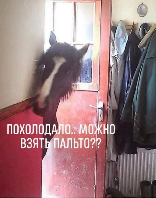 ВОСКРЕСЕНЬЕ
Морозное
Одеваемся тепло, бережём себя. Скоро Новый год 🎄
Подсказка Вселенной в сторис | Сетка — социальная сеть от hh.ru