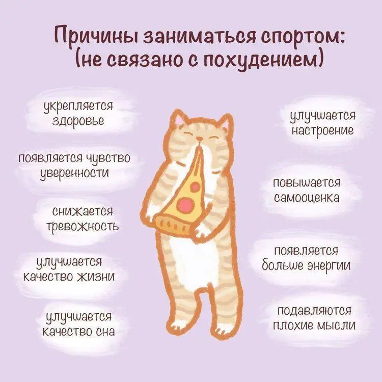 Причины заниматься спортом ⚾️ | Сетка — социальная сеть от hh.ru