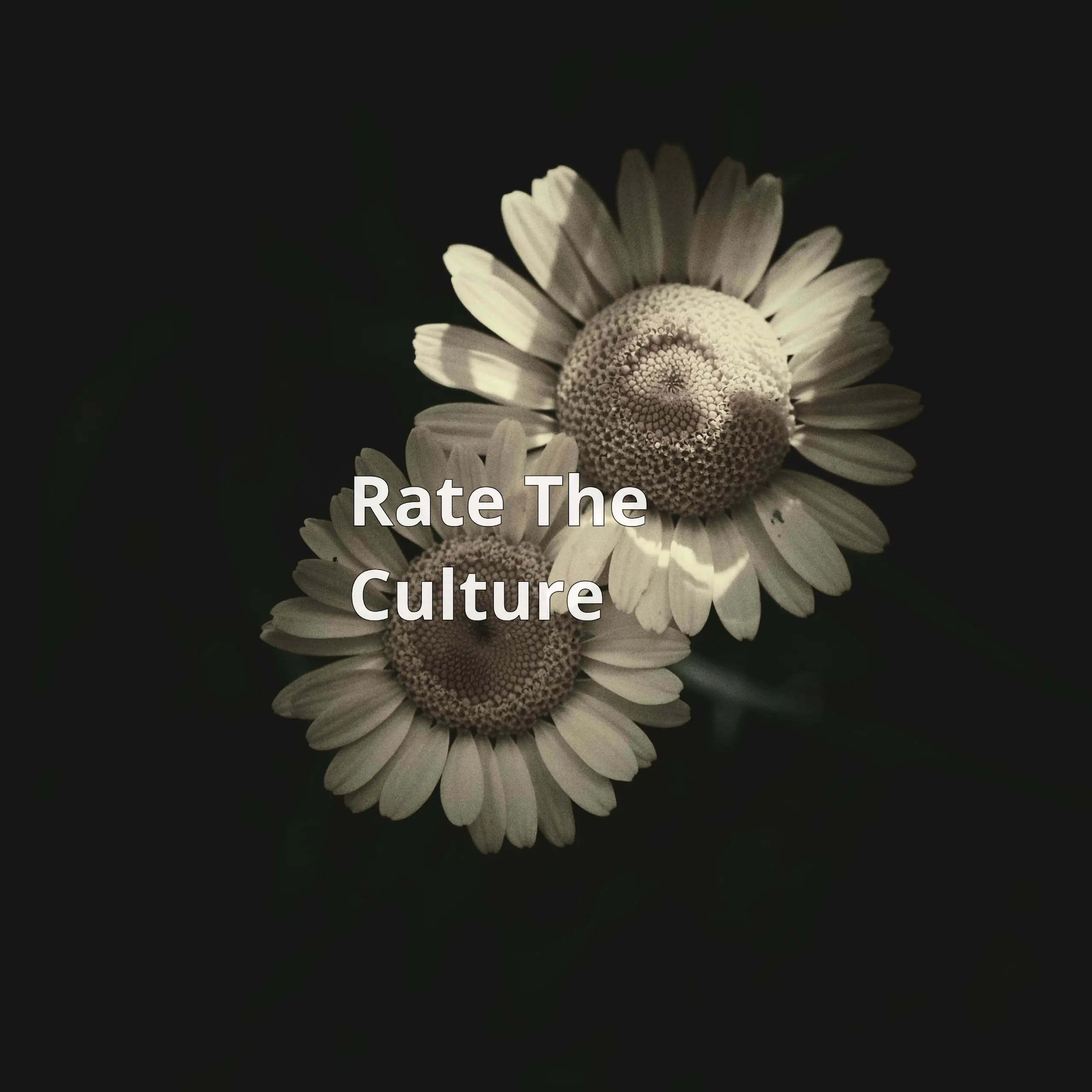 Rate The Culture — платформа, где можно узнать правду о корпоративной культуре в разных компаниях. Здесь делятся честными, анонимными отзывами без лишних формальностей и маркетингового языка | Сетка — социальная сеть от hh.ru