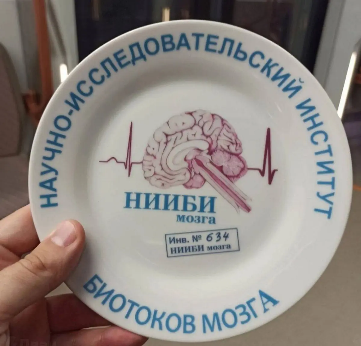Голос эволюции для лживых прекрас | Сетка — социальная сеть от hh.ru