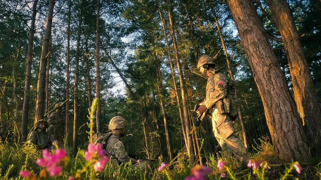 Знаете, что реально помогает не тупить в стрессе? Три армейских приема: standard operating procedures (SOP), actions on и репетиции | Сетка — социальная сеть от hh.ru