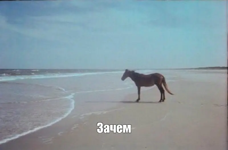 Переосмысляю канал и его цели
Долгое время я вёл канал больше для себя — тренировался в письме и регулярности, вспоминал истории и фиксировал в текст то, что часто рассказываю на консультациях | Сетка — социальная сеть от hh.ru