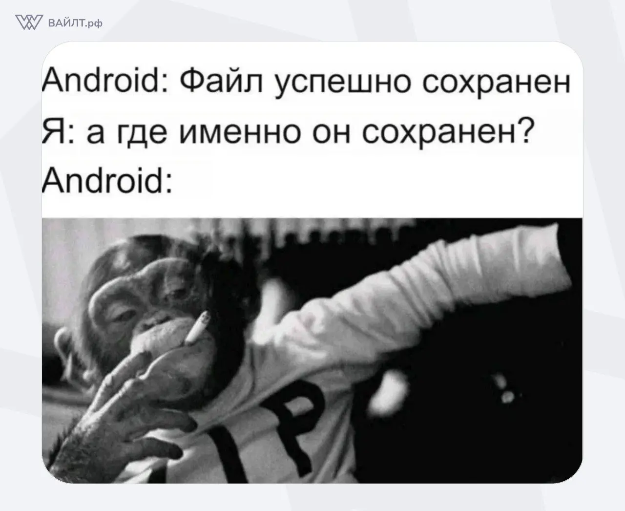 #Мем | Сетка — социальная сеть от hh.ru