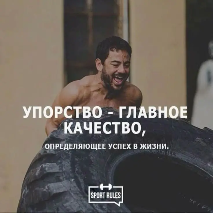 Результат упорного труда | Сетка — социальная сеть от hh.ru