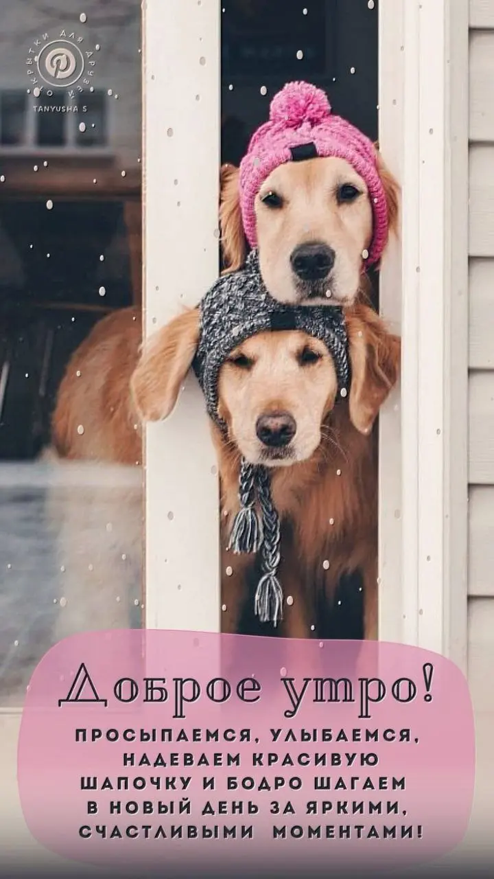 ПОНЕДЕЛЬНИК
Всё ближе к Новому году 🎄
Но не расслабляемся, подбираем хвосты, доделываем дела. | Сетка — социальная сеть от hh.ru