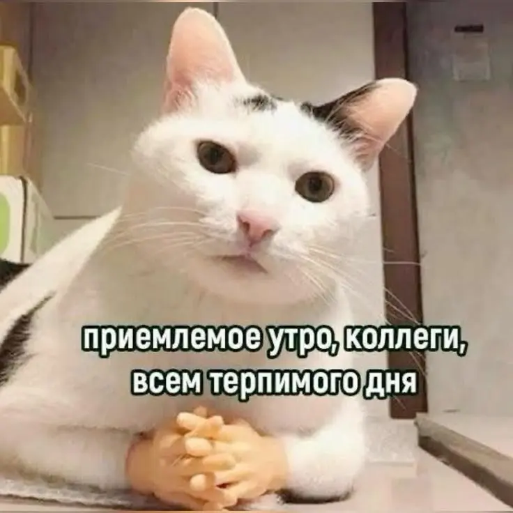 Продуктивной рабочей недели 💪🏻
П.С. до Нового года осталось 17 дней
#работа #вакансии #hr #GdeRabota | Сетка — социальная сеть от hh.ru