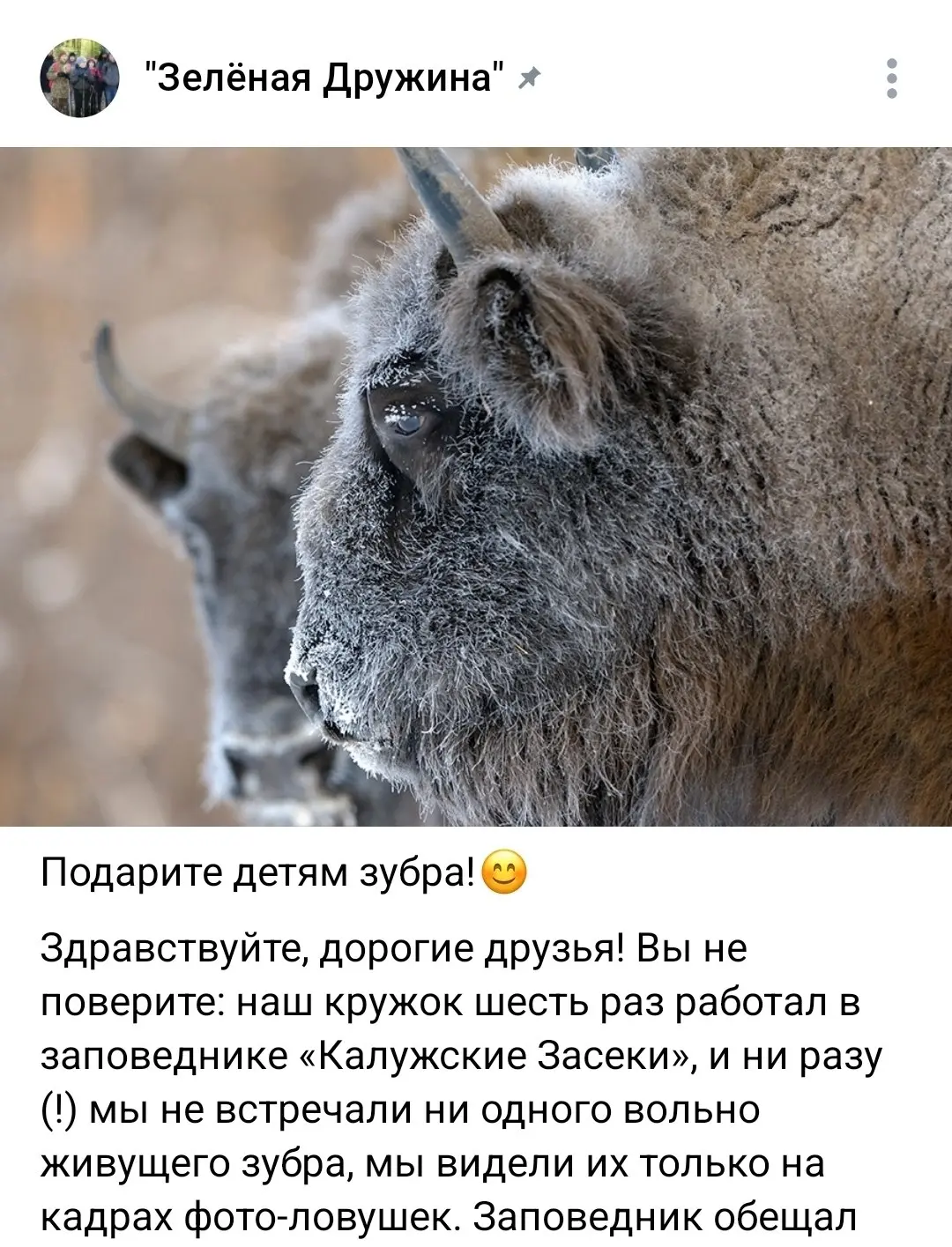 Под Новый год приятно быть Дедом Морозом 🎅
Старшая дочь посещает кружок "Зелёная дружина" 4 года.
В этом году руководитель открыл сбор донатов для трансфера в "Калужские засеки" на январь | Сетка — социальная сеть от hh.ru