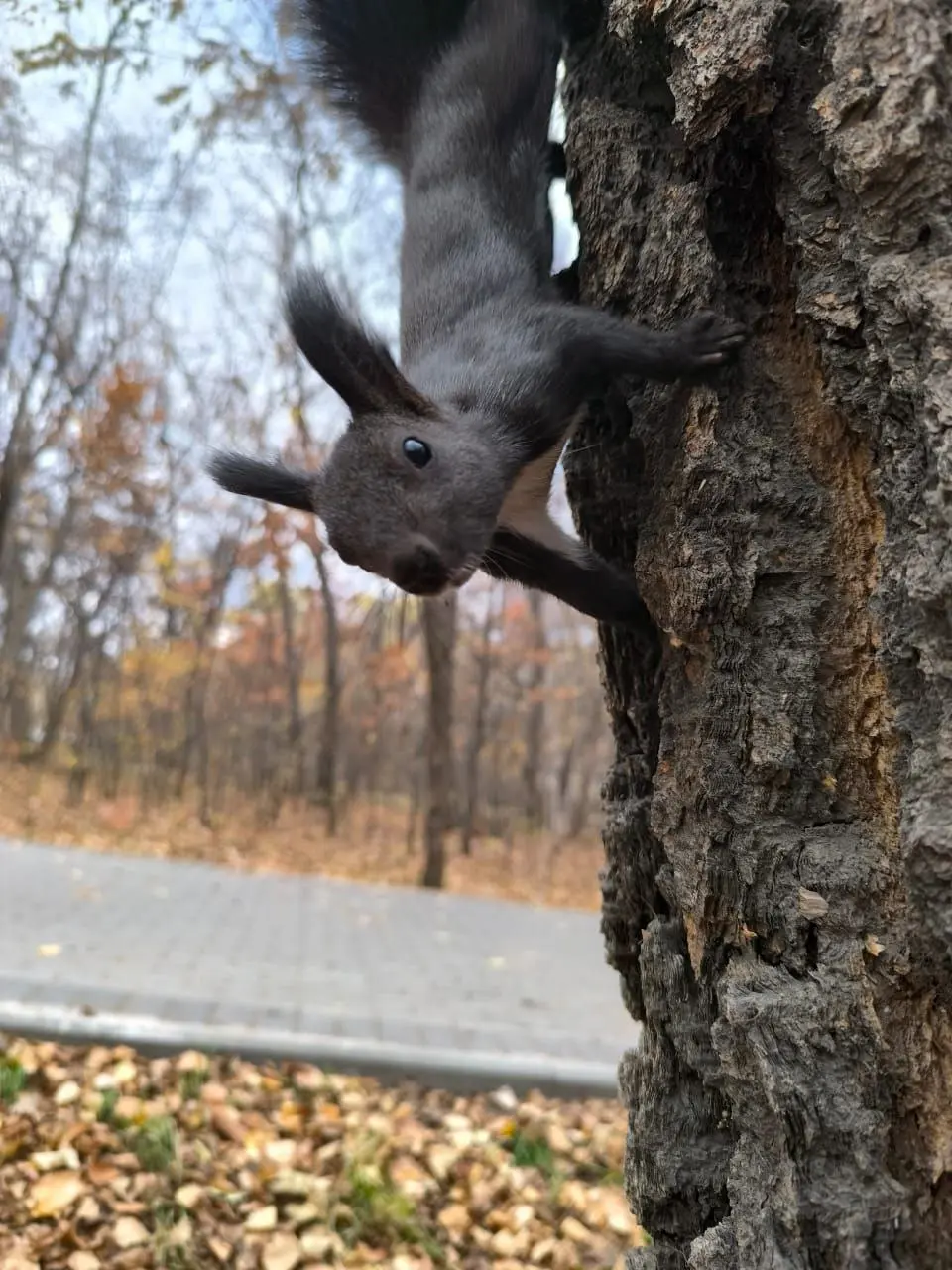 А что, если эта неделя будет хорошей? 😉
Серьезно, давайте договоримся. Давайте попробуем провести эти 7 дней без «доживу до пятницы» | Сетка — социальная сеть от hh.ru
