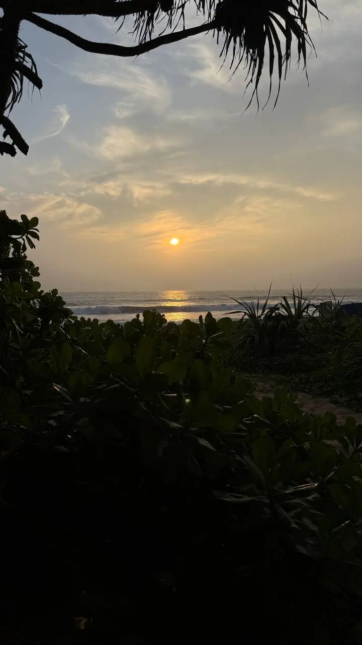 Придворные высшего уровня: почему корпорации деградируют, а ИТ отрасль под угрозой
Сейчас особенно ярко видна деградация корпоративных управленцев в крупных и средних компаниях | Сетка — социальная сеть от hh.ru