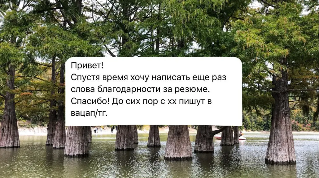 Спустя 4 месяца после выхода на работу мой клиент все еще получает приглашения на собесы — вот как должно работать хорошее резюме. (Делали резюме для специалиста ИБ (junior+).
#отзывы | Сетка — социальная сеть от hh.ru