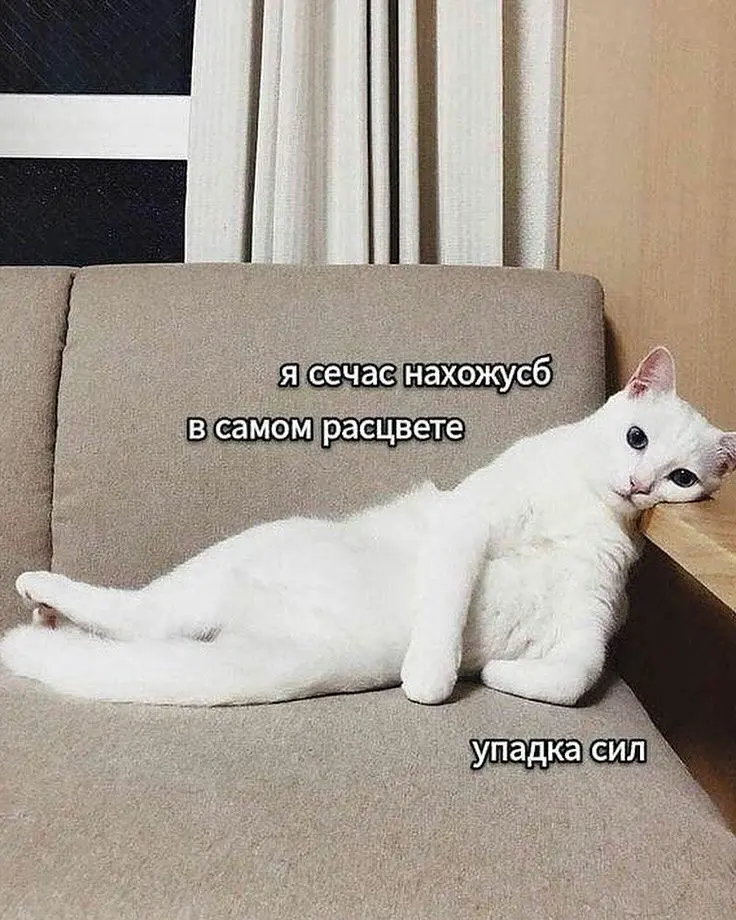 Автоотказ, иллюзия оценки. | Сетка — социальная сеть от hh.ru