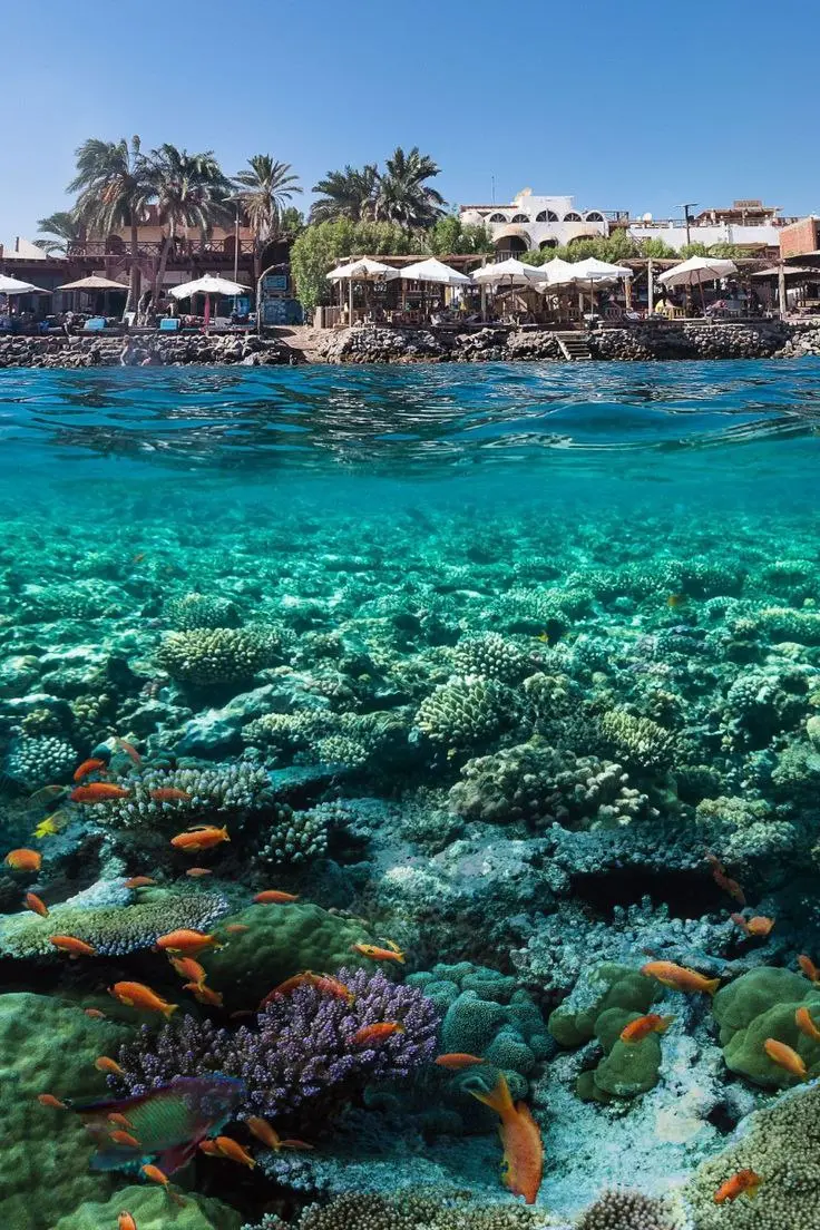 🇪🇬 ГОРЯЧИЕ ТУРЫ В ЕГИПЕТ!
ВЛАДИКАВКАЗ → ШАРМ-ЭЛЬ-ШЕЙХ
• PARROTEL LAGOON 5★ – 19.12, 7н, AI – 65 126 ₽
• IL MERCATO SPLASH 5★ – 19.12, 7н, AI – 89 379 ₽
МИН. ВОДЫ → ШАРМ-ЭЛЬ-ШЕЙХ
• SHARM RESORT 4★ – 23 | Сетка — социальная сеть от hh.ru