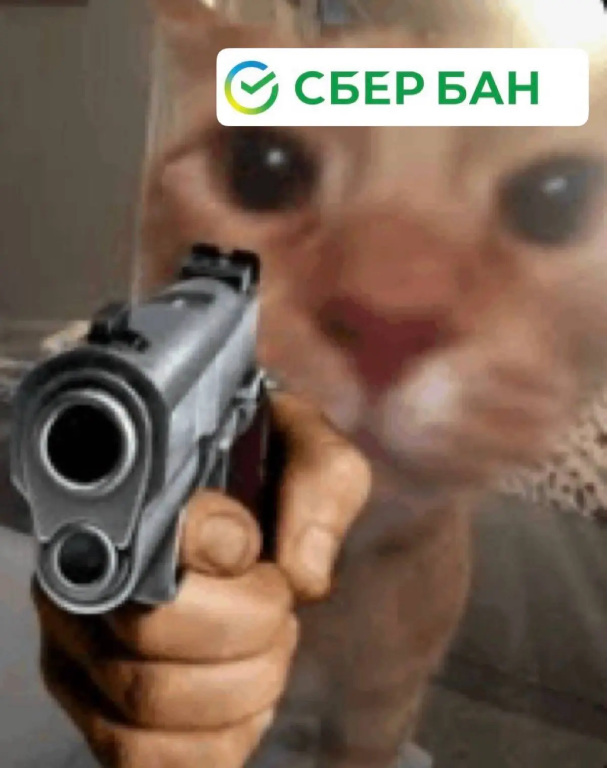 Собеседование в Сбер. | Сетка — социальная сеть от hh.ru