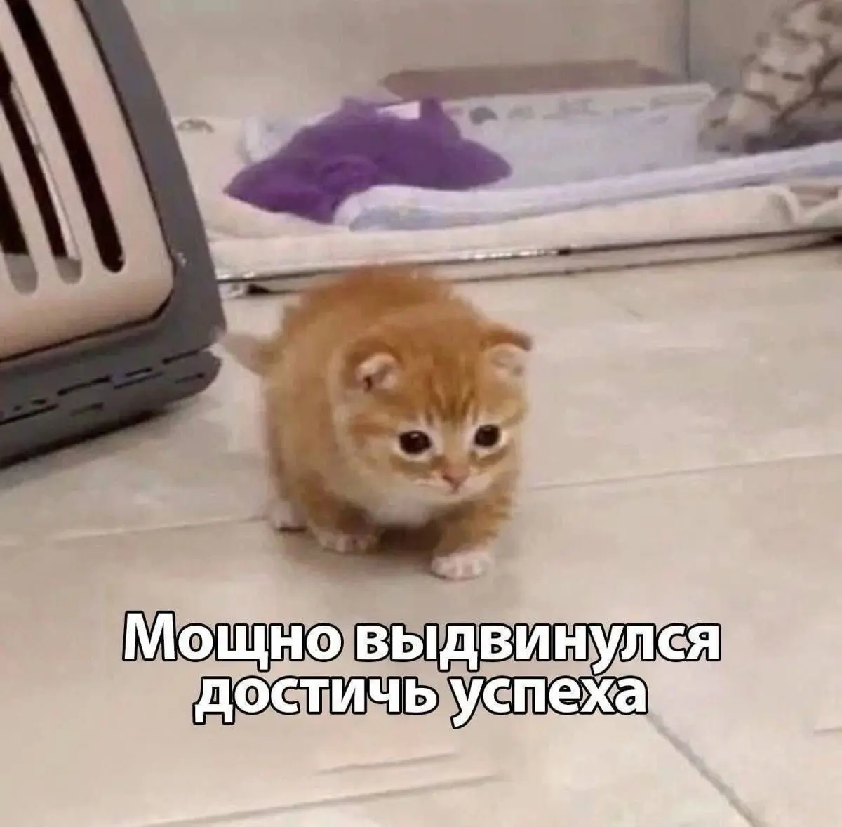 Почему сегодня выбирают не навыки, а людей? | Сетка — социальная сеть от hh.ru