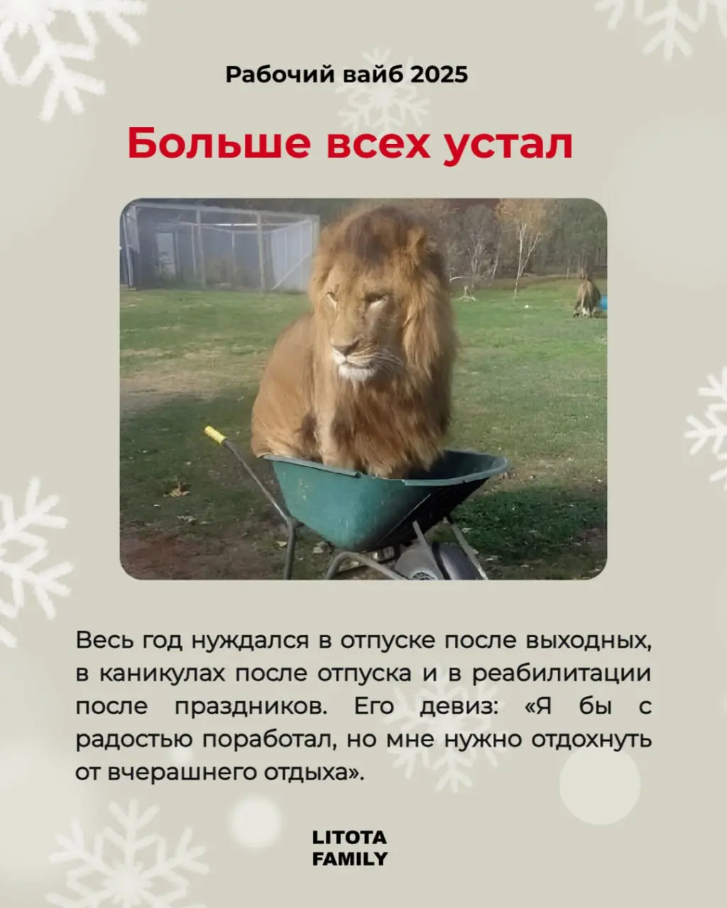 Каким был твой 2025?
Вспоминаем рабочий вайб уходящего года - в карточках.
Ищи себя, отмечай коллегу или делись карточками в лс 🤭
#РабочийВайб2025 #LitotaFamily #Юмор | Сетка — социальная сеть от hh.ru