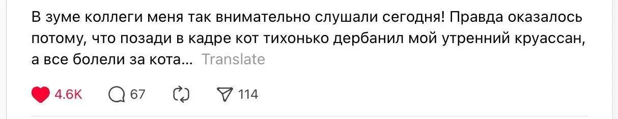 Берем рецепт на вооружение 😂
#Юмор@poldner #Коты@poldner | Сетка — социальная сеть от hh.ru