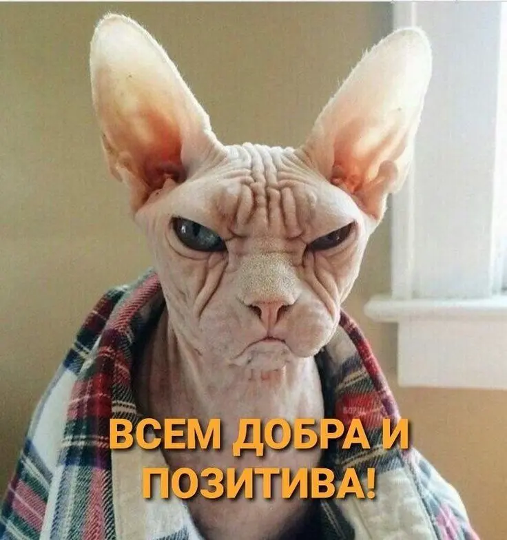 ВТОРНИК
Всем добра и позитива, несмотря на декабрьский дождь ☔
Подсказка Вселенной в сторис | Сетка — социальная сеть от hh.ru