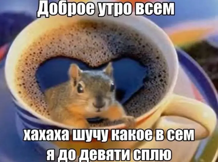 Во сколько встаёте на работу?)
Я в 9-9:30 обычно, в 10-10:30 начинаю работать | Сетка — социальная сеть от hh.ru