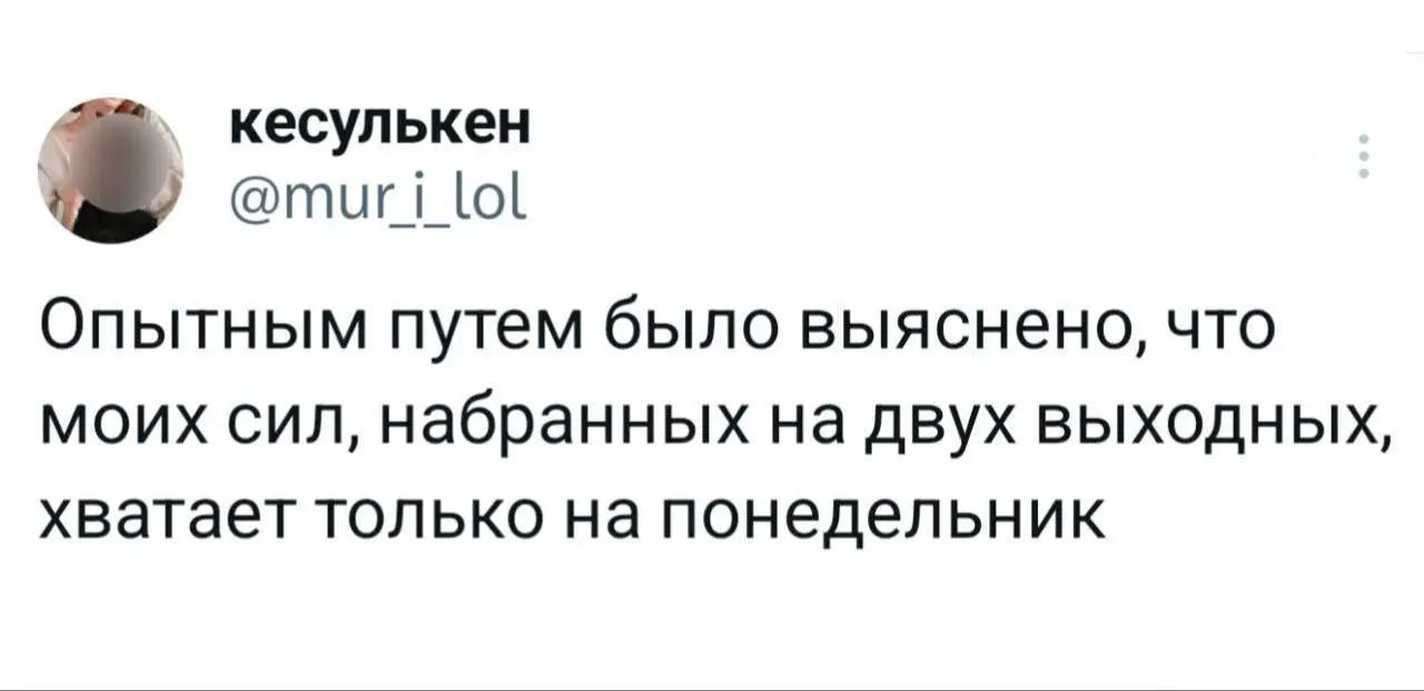 #work | Сетка — социальная сеть от hh.ru