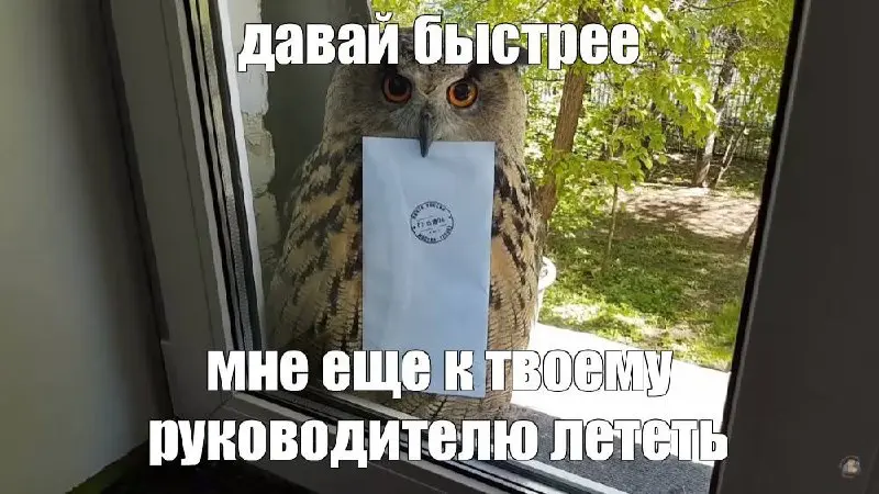 ЖПП
Когда-то давно, в первый месяц работы в корпорации меня научили писать ЖПП. Это было непонятно и непривычно, после работы в небольшой уютной дизайн-студии.
ЖПП — это жопоприкрывательные письма | Сетка — социальная сеть от hh.ru