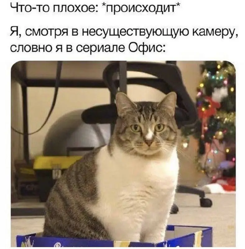 Мы или не мы?
#мемы | Сетка — социальная сеть от hh.ru