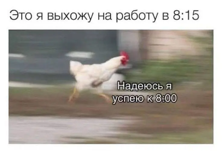 Мы или не мы?
#мемы | Сетка — социальная сеть от hh.ru