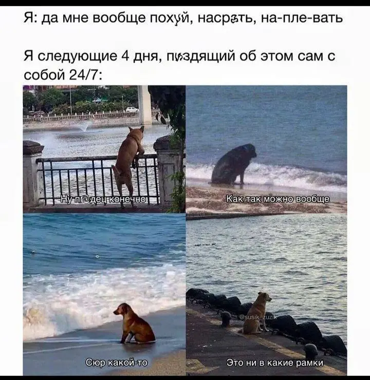 Мы или не мы?
#мемы | Сетка — социальная сеть от hh.ru