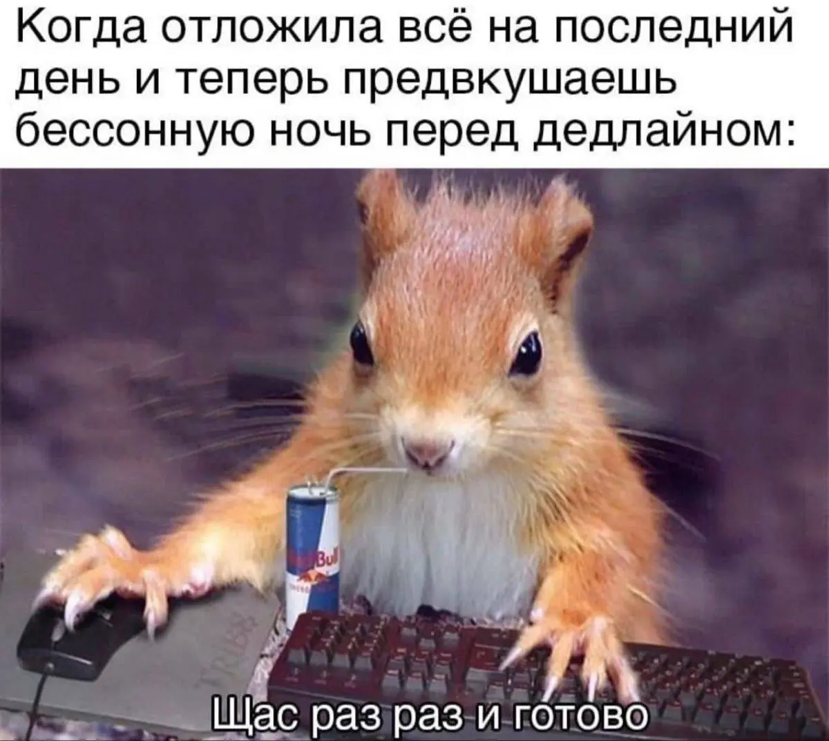 Мы или не мы?
#мемы | Сетка — социальная сеть от hh.ru