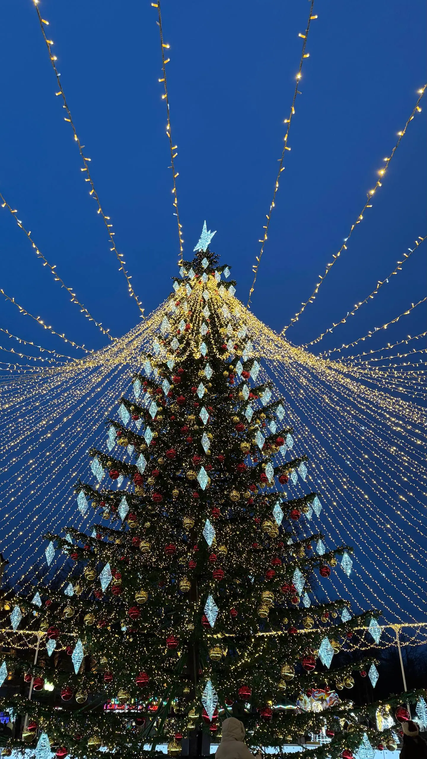 Вот и предновогодний Калининград 🎄
Без сугробов и морозов — совсем другая зима, к которой я пока привыкаю🫣
Но гулять, смотреть по сторонам и просто быть здесь — всё равно очень приятно🫶 | Сетка — социальная сеть от hh.ru