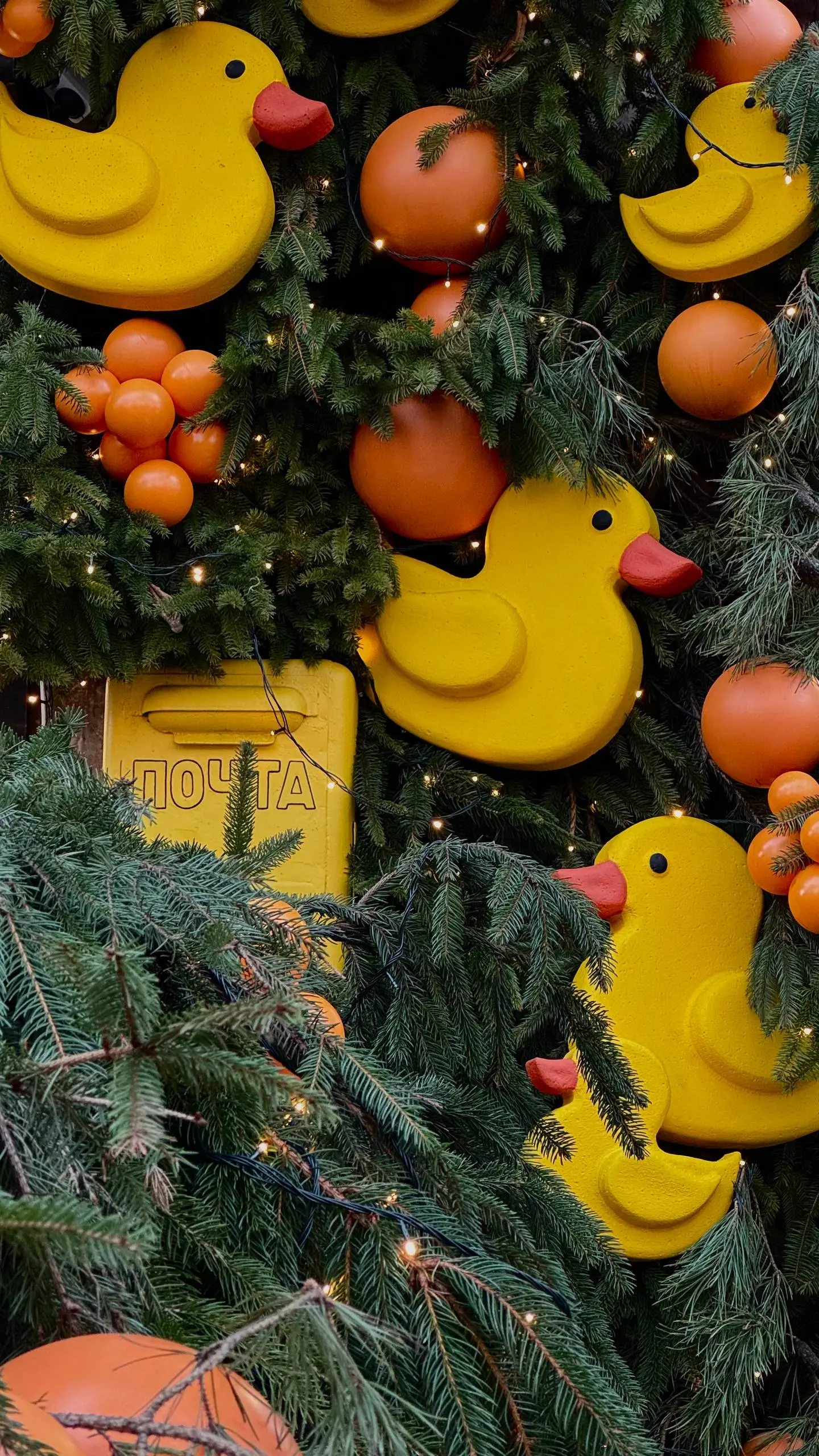 Вот и предновогодний Калининград 🎄
Без сугробов и морозов — совсем другая зима, к которой я пока привыкаю🫣
Но гулять, смотреть по сторонам и просто быть здесь — всё равно очень приятно🫶 | Сетка — социальная сеть от hh.ru