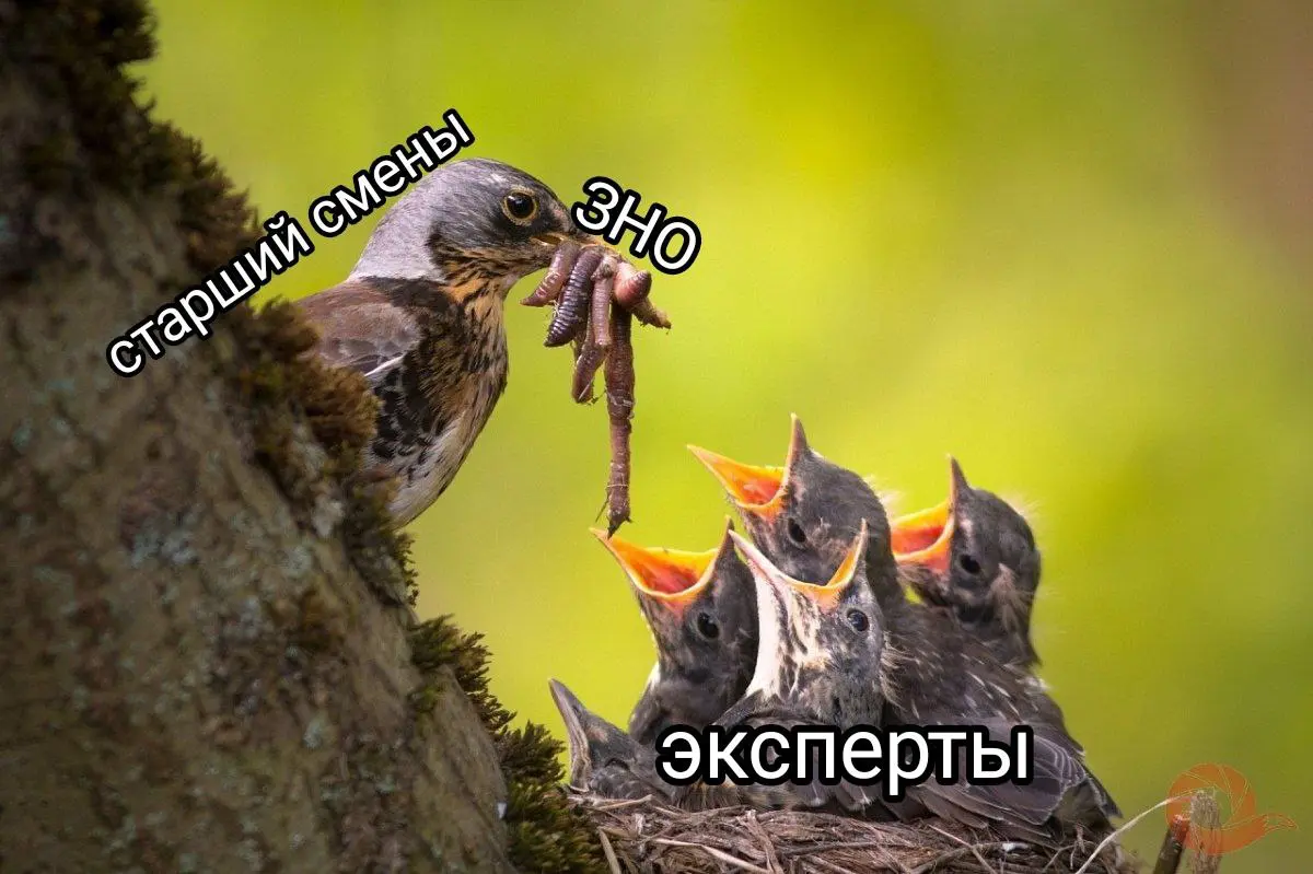 Будни специалиста тех.поддержки | Сетка — социальная сеть от hh.ru