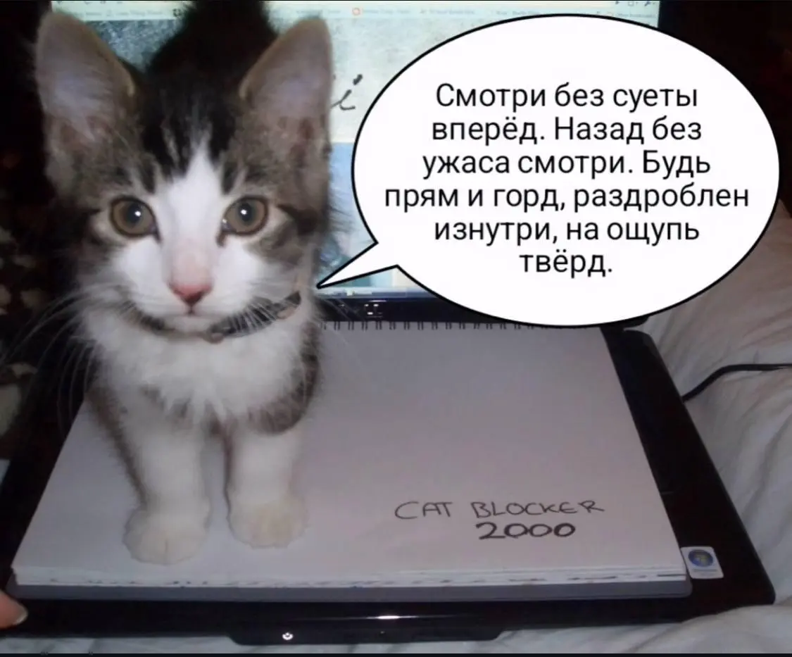 Сегодня такой интересный день, что я решила все же подвести те самые трендовые итоги года | Сетка — социальная сеть от hh.ru