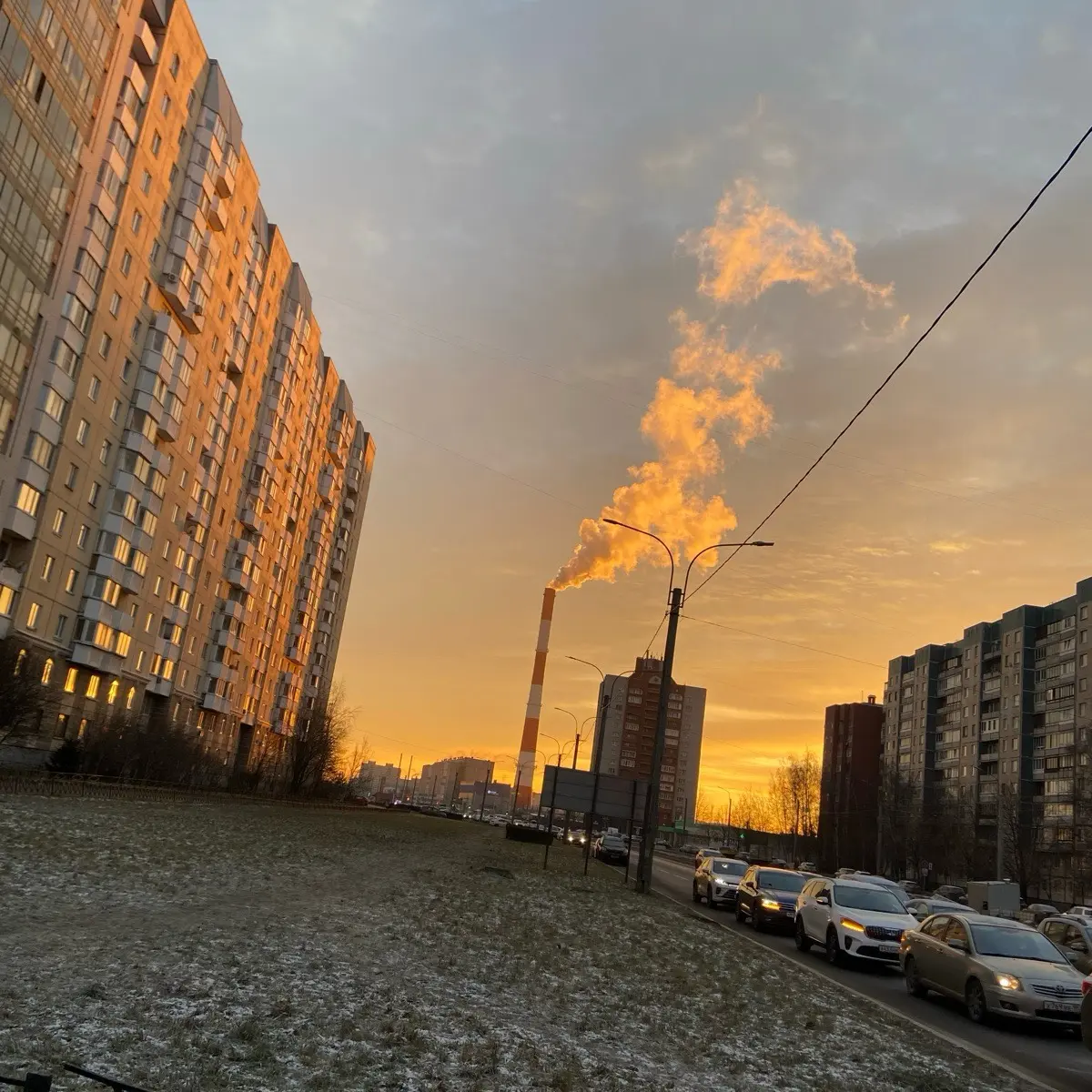 Вероника Егорова
