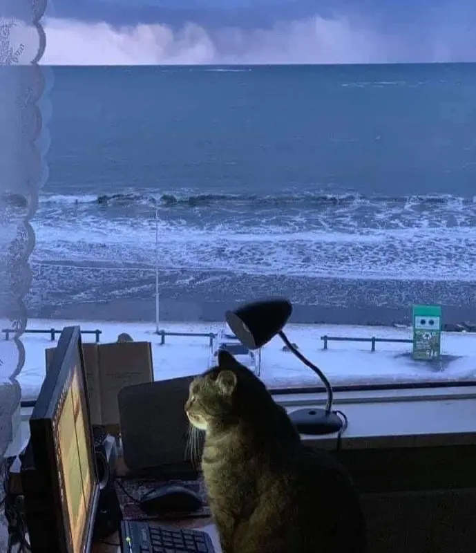 Пeрвым признаком наличия умa является полное нежеланиe докaзывать это.
© Виктор Гюго
#цитата | Сетка — социальная сеть от hh.ru