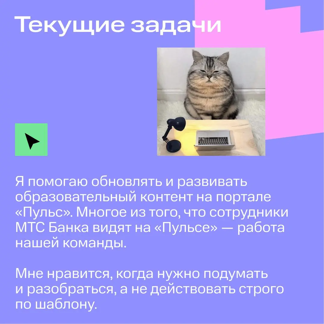 Запускаем новую рубрику — #дневникстажёра 📖🤓 | Сетка — социальная сеть от hh.ru