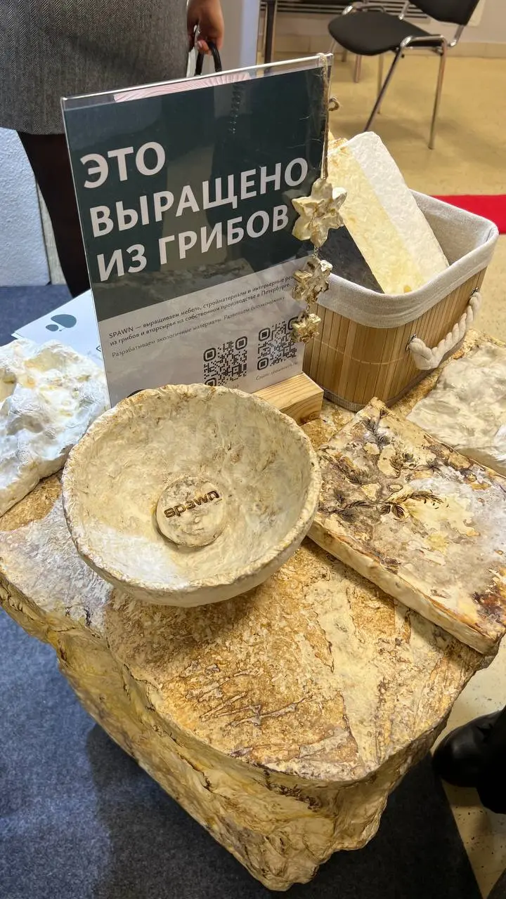🎄Московская неделя дизайна в декабре
в этот раз прошла в павильонах ВДНХ
Покажу новинки, чего ранее не показывала в своем канале | Сетка — социальная сеть от hh.ru