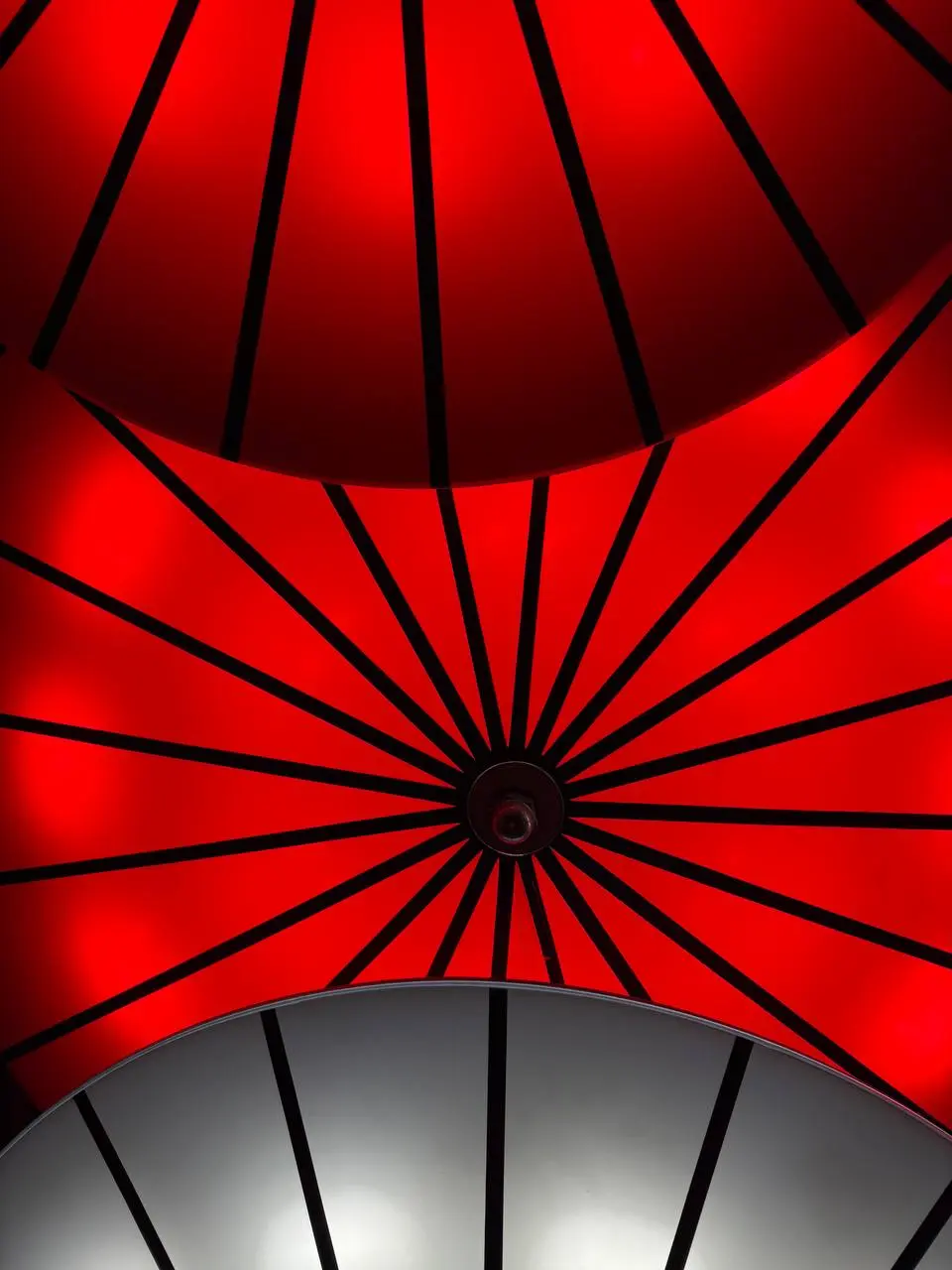 В Аргентине дети лепят кривых динозавров, а родители кричат «браво!». У нас вечный конкурс «Сделай поделку в садик круче всех» | Сетка — социальная сеть от hh.ru