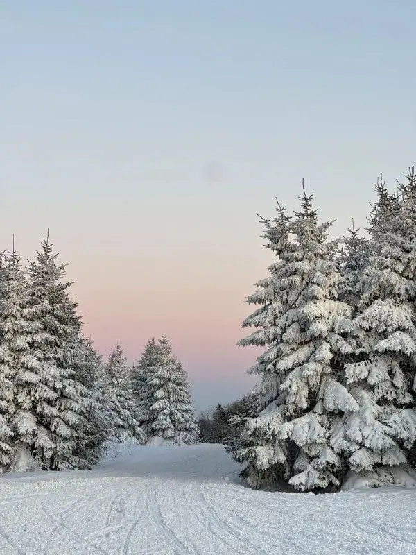 🎀🎀🎀🎀🎀🎀🎀
не висни на переводе 💻
Winter edition ❄️
Началась зима - время когда мозг официально работает в режиме low battery, самое лучшее, ощущение попадание в помещение после улицы и новогоднего настр... | Сетка — социальная сеть от hh.ru