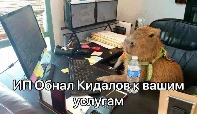 Важное напоминание для всех гендерилло-номинало (владельцев/гендиров ОООшек)
В 2026 за владение "пустой" ОООшкой надо будет платить 8к/мес (или 96к/год).
Вот почему и что с этим делать.
С 01.01 | Сетка — социальная сеть от hh.ru