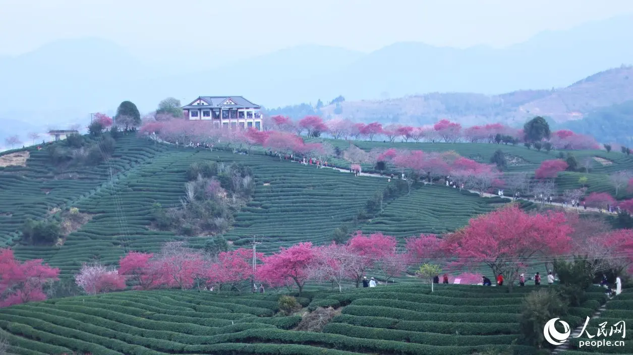 Я очень люблю в чае сюжеты, которые можно, наверно, назвать возвращающимися. Ну это когда ты сначала узнаешь одну версию сюжета. Потом другую, которая обычно опровергает первую | Сетка — социальная сеть от hh.ru