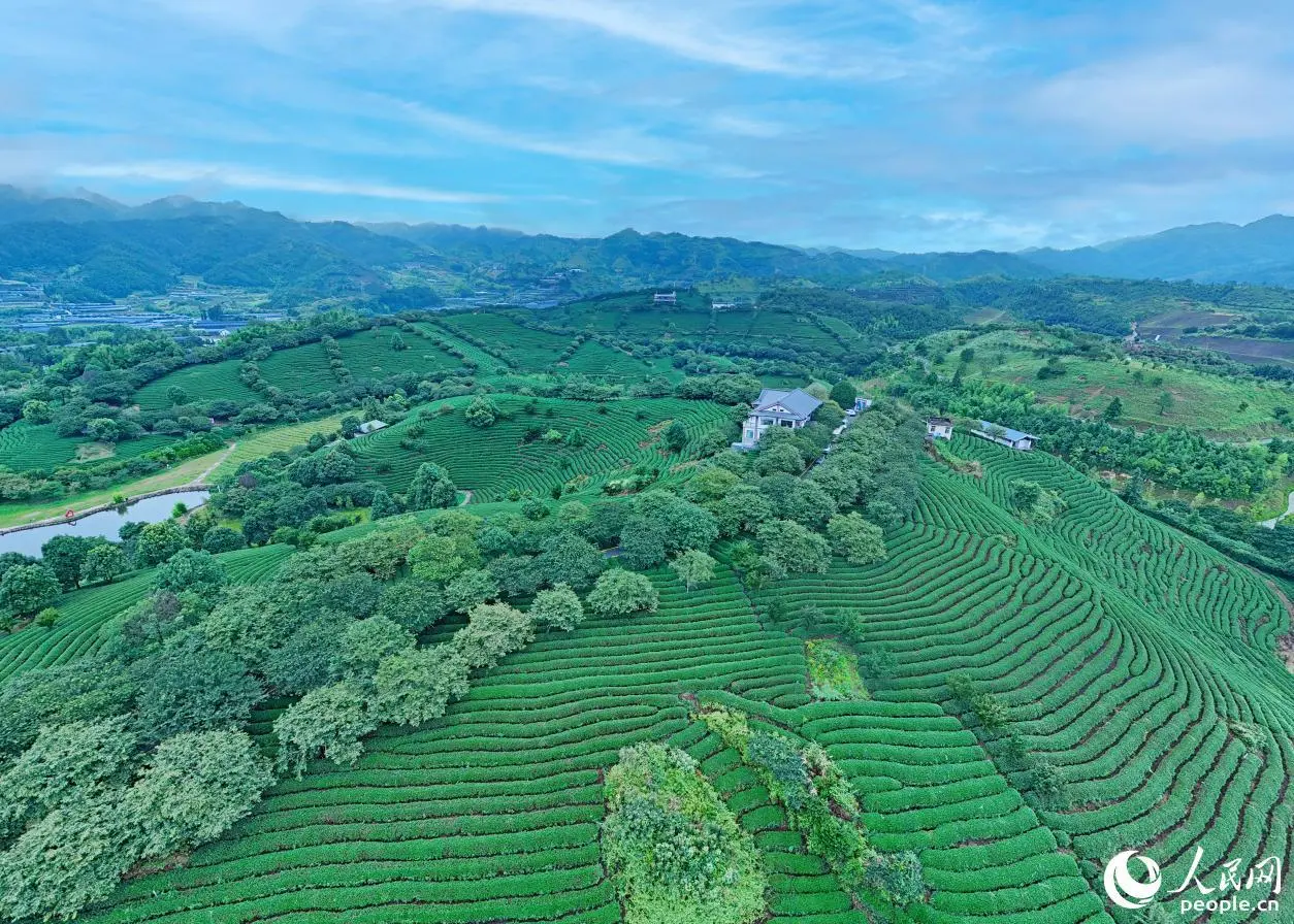 Я очень люблю в чае сюжеты, которые можно, наверно, назвать возвращающимися. Ну это когда ты сначала узнаешь одну версию сюжета. Потом другую, которая обычно опровергает первую | Сетка — социальная сеть от hh.ru