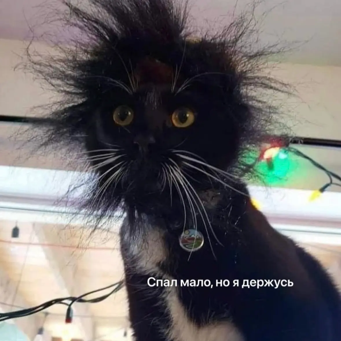 Cоциальный джетлаг!? Проверьте или поверьте | Сетка — социальная сеть от hh.ru