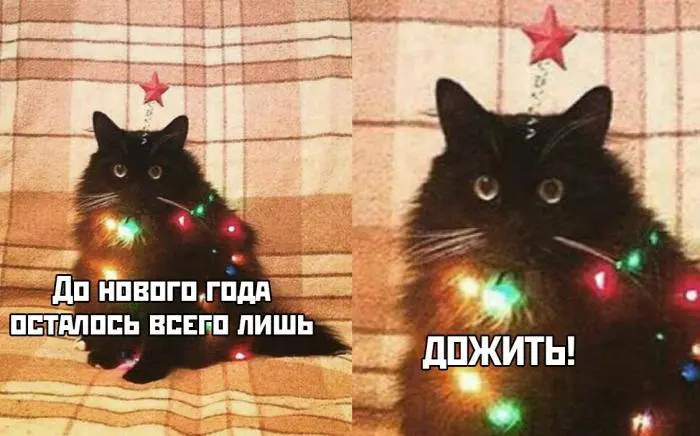 Готовим сани летом бизнес к 2026 году ещё в декабре
В агентской среде Q1 начинается раньше наступления января. Именно в декабре принимаются решения, которые определяют, каким бизнес войдёт в 2026 год | Сетка — социальная сеть от hh.ru