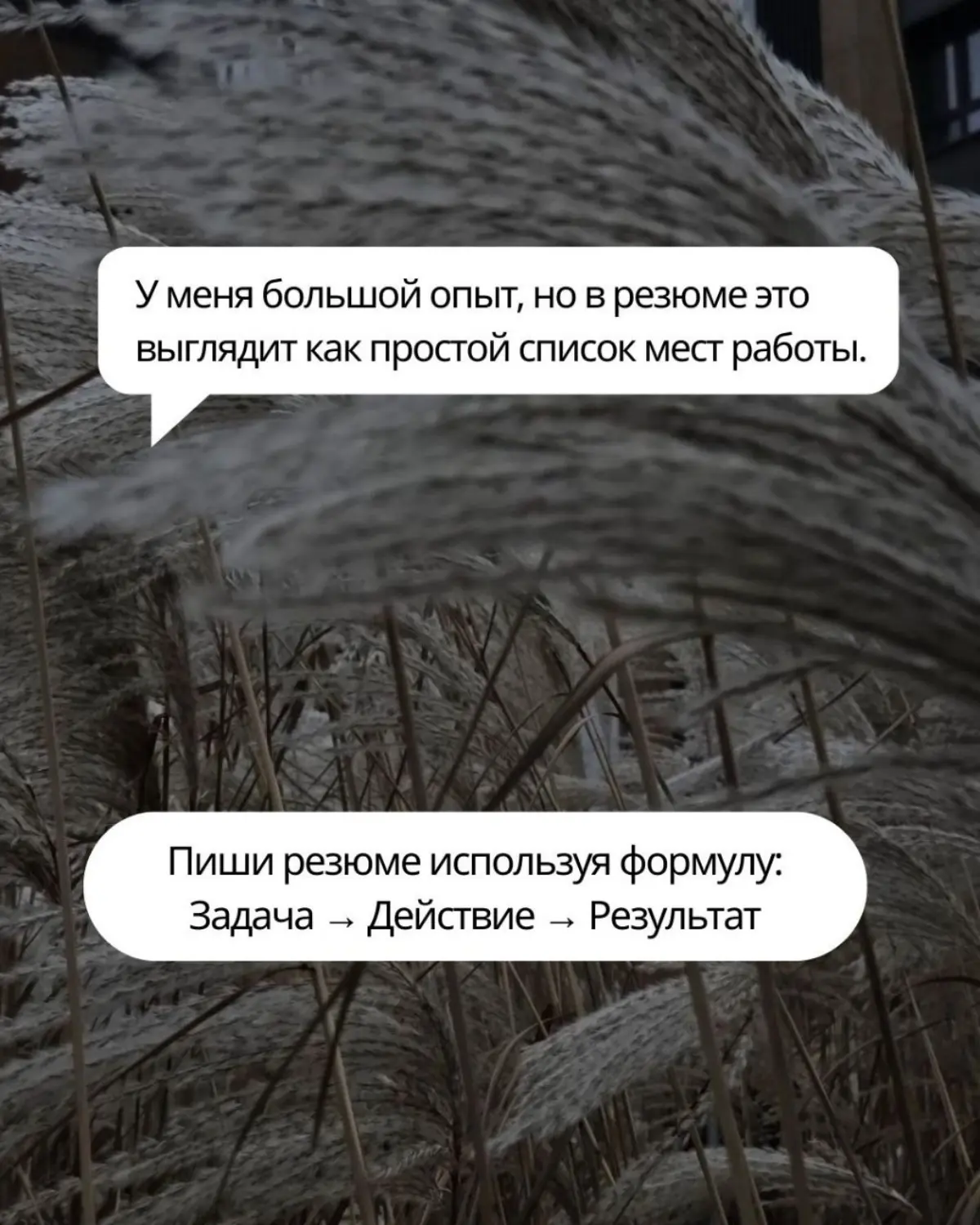 Страхи! | Сетка — социальная сеть от hh.ru